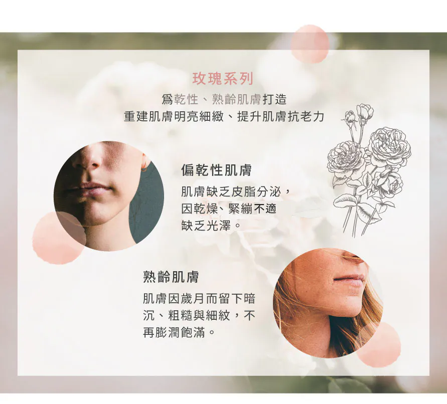 5.webp